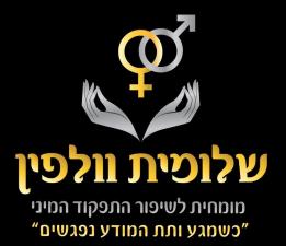 שלומית וולפין