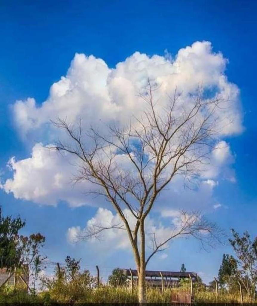 העיתוי לניקיון מקצועי העיתוי לניקיון מקצועי