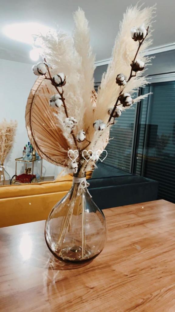 פאמפס ישראל פאמפס ישראל