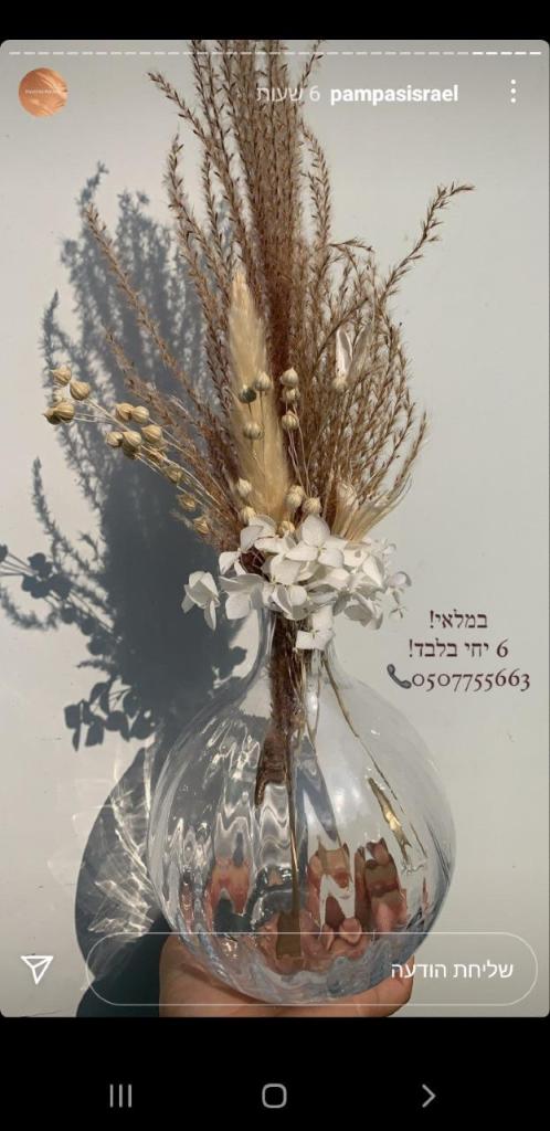 פאמפס ישראל פאמפס ישראל