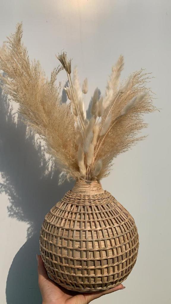 פאמפס ישראל פאמפס ישראל