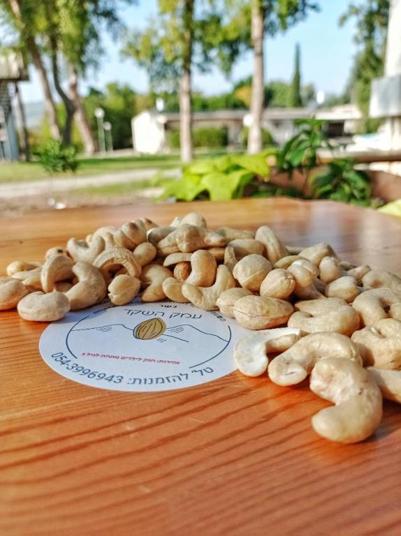 עמק השקד עמק השקד