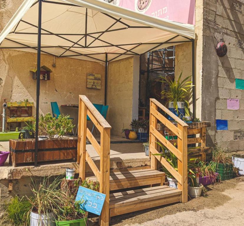 דיזרט דיזרט