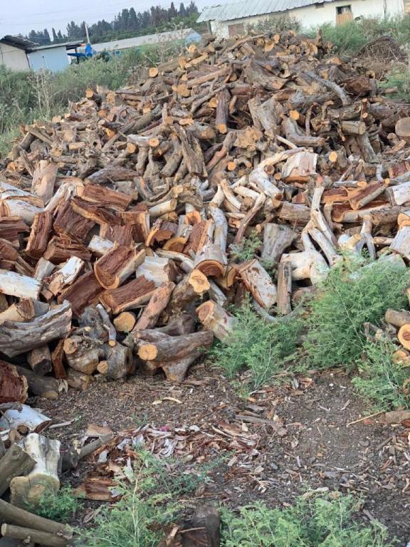 דורון עצים להסקה דורון עצים להסקה