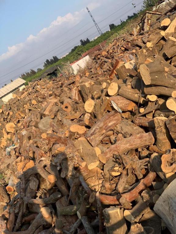 דורון עצים להסקה דורון עצים להסקה