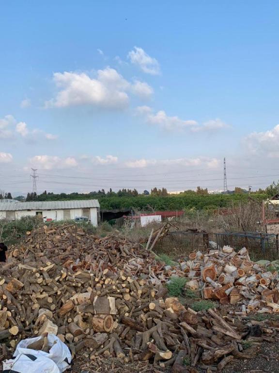 דורון עצים להסקה דורון עצים להסקה