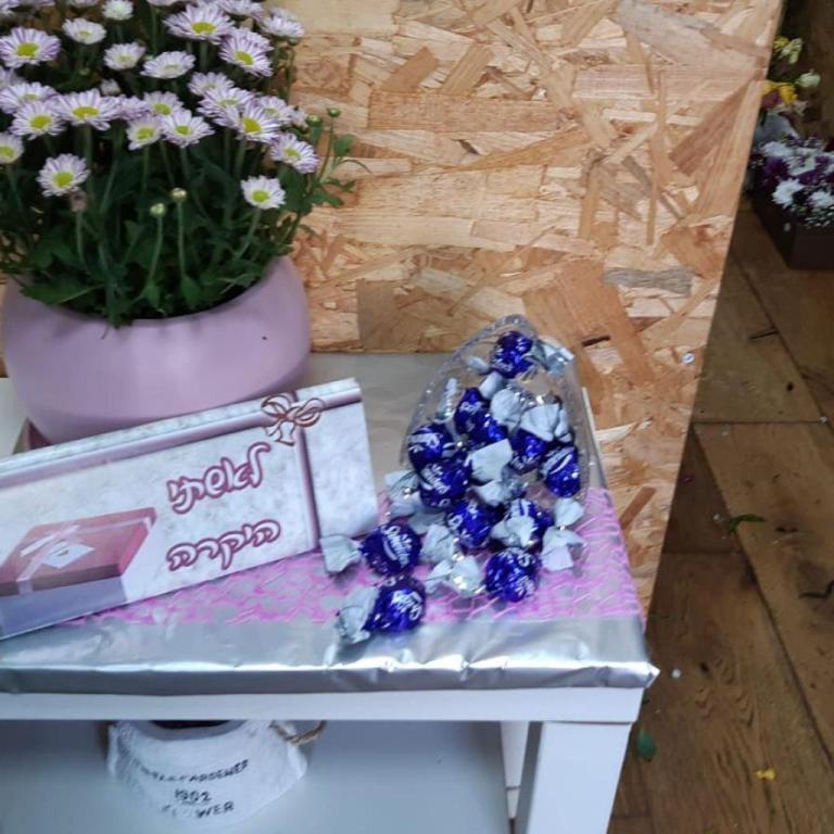 פרחי הגן פרחי הגן