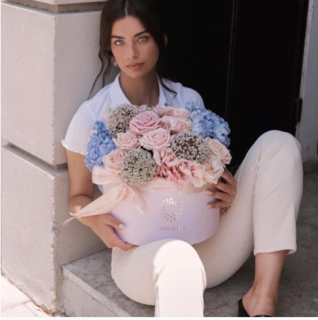 שווליה פרחים Chevalier שווליה פרחים Chevalier