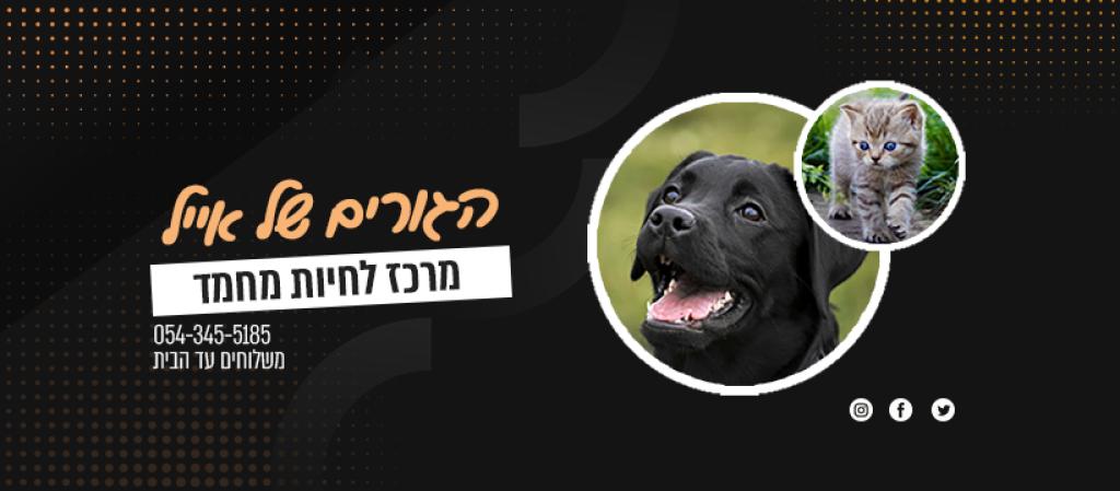 הגורים של אייל הגורים של אייל