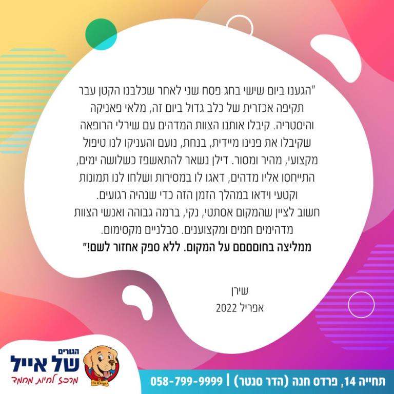 הגורים של אייל הגורים של אייל