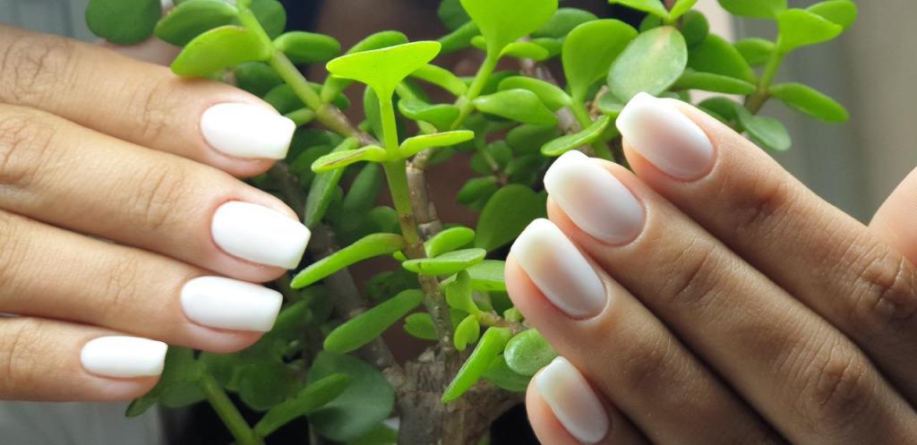 תמרה ביוטי מניקור פדיקור תמרה ביוטי מניקור פדיקור