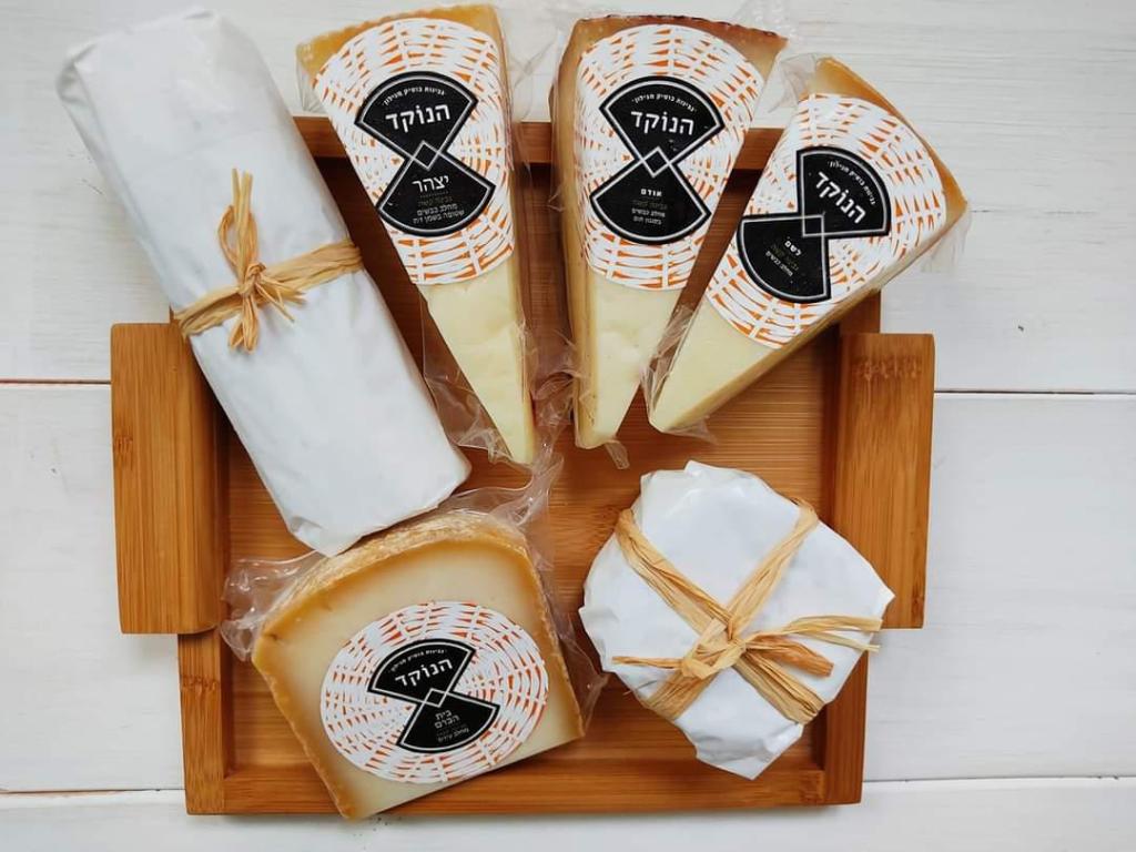 לימונדה סטור לימונדה סטור