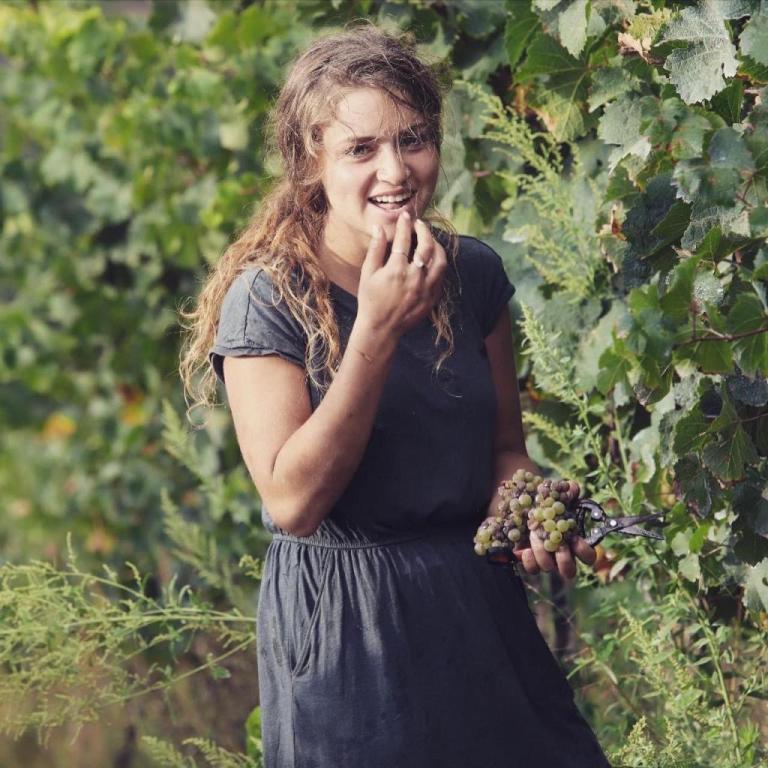 לימונדה סטור לימונדה סטור