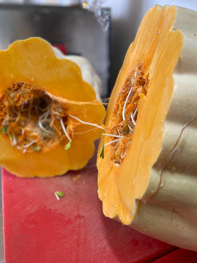 הכפריה שוק חקלאי הכפריה שוק חקלאי