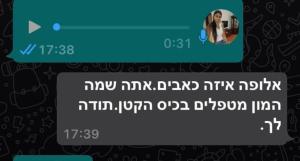 שירז ידיים רואות