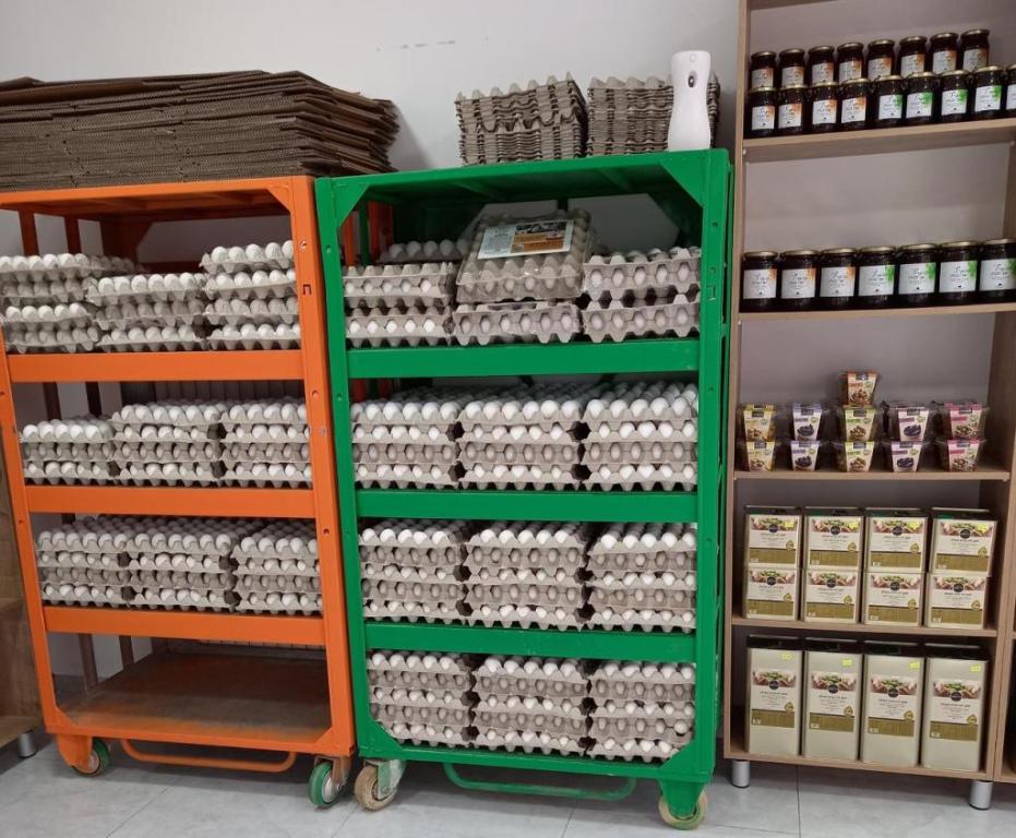 היישר מהחקלאי היישר מהחקלאי