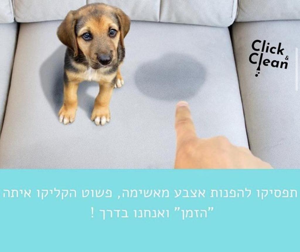 Click & Clean Click & Clean