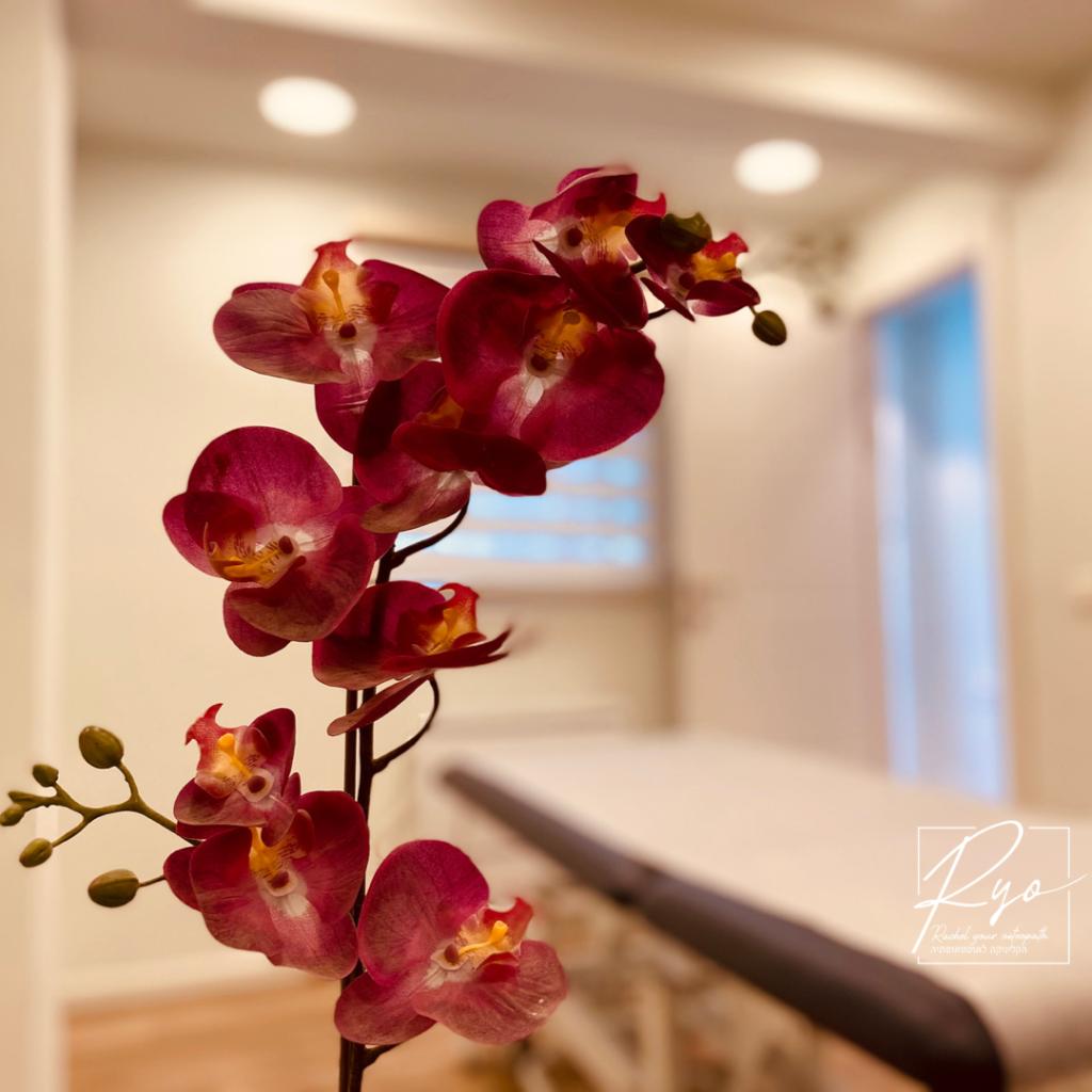 רחל לוי האוסטאופתית שלך רחל לוי האוסטאופתית שלך