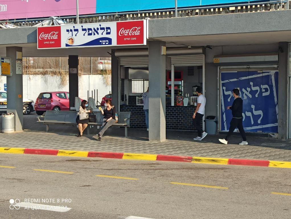 פלאפל לוי פלאפל לוי