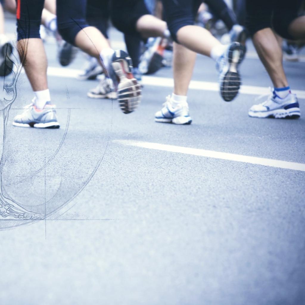 המדרסים של חיותה המדרסים של חיותה