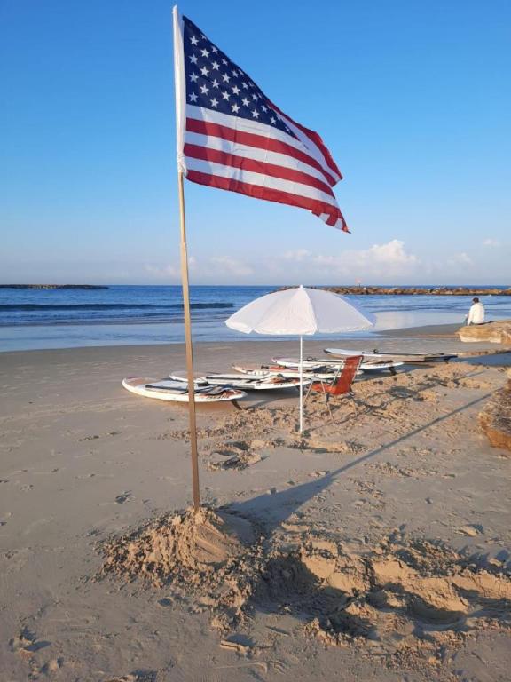 americasurfclub americasurfclub