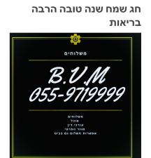 B.V.M שליחויות