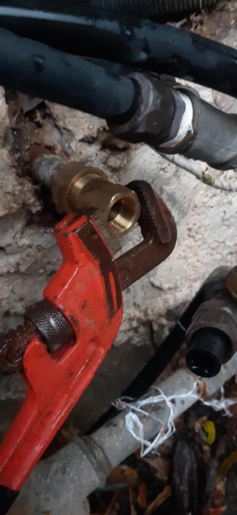 שלמה Fix שלמה Fix