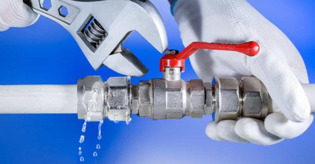 שלמה Fix שלמה Fix