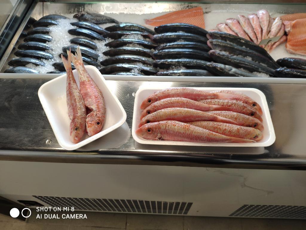 אחים בדג אחים בדג