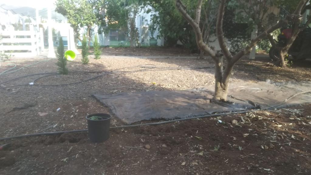 גינות גינות