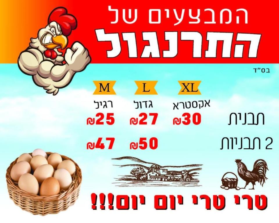 התרנגול שיווק ביצים התרנגול שיווק ביצים