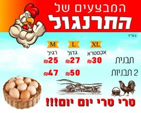 התרנגול שיווק ביצים