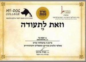 בר יוסף