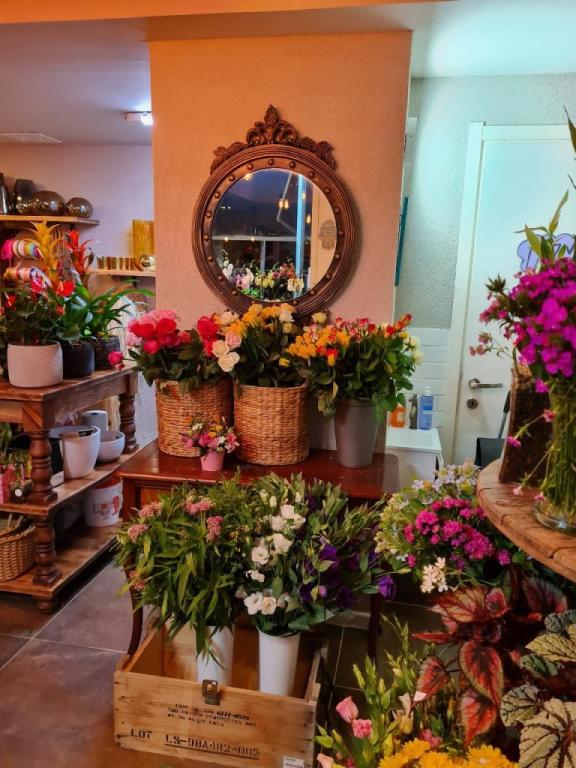 דליה פרחים דליה פרחים