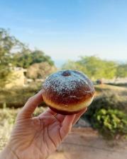 פיקניק ים המלח