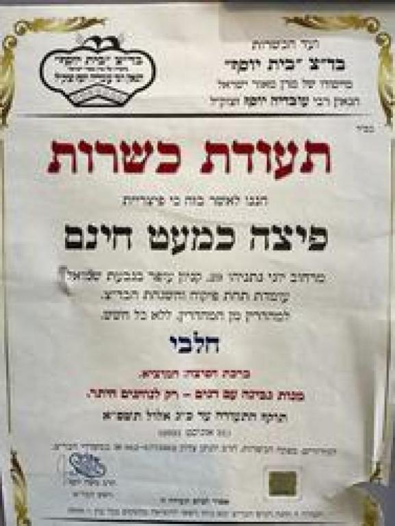 פיצה כמעט חינם קונספט פיצה כמעט חינם קונספט