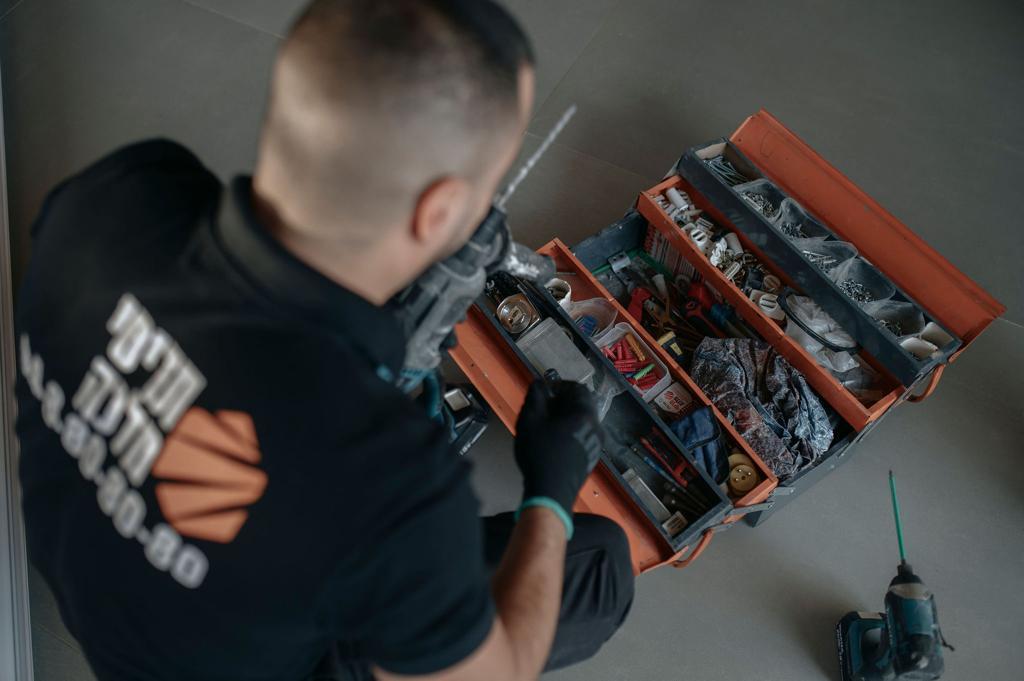 תריסי מלכה תריסי מלכה