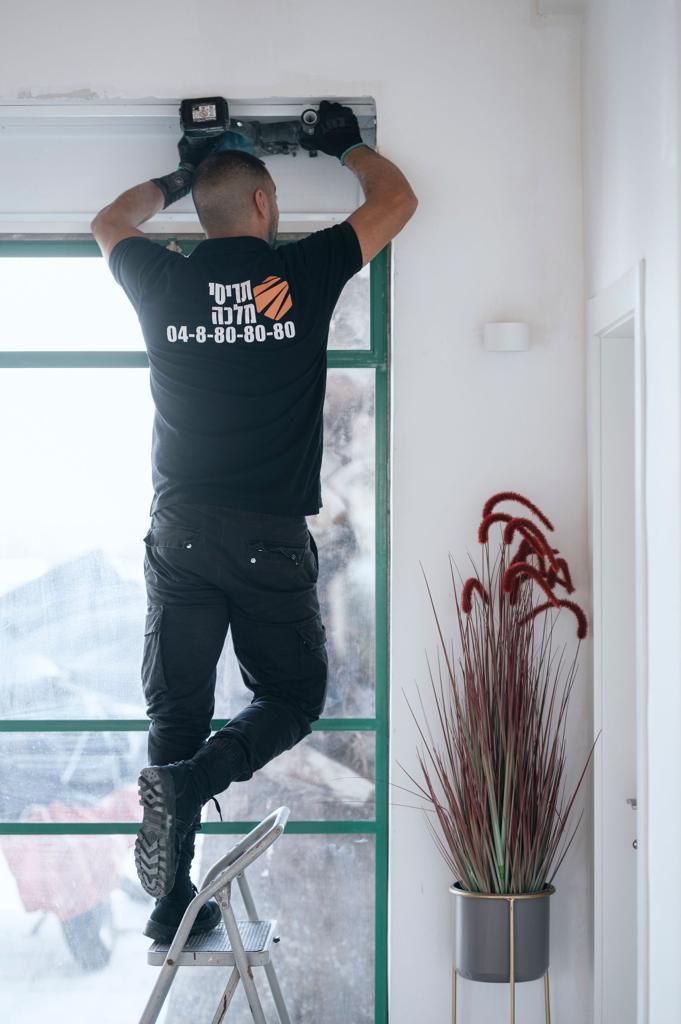 תריסי מלכה תריסי מלכה