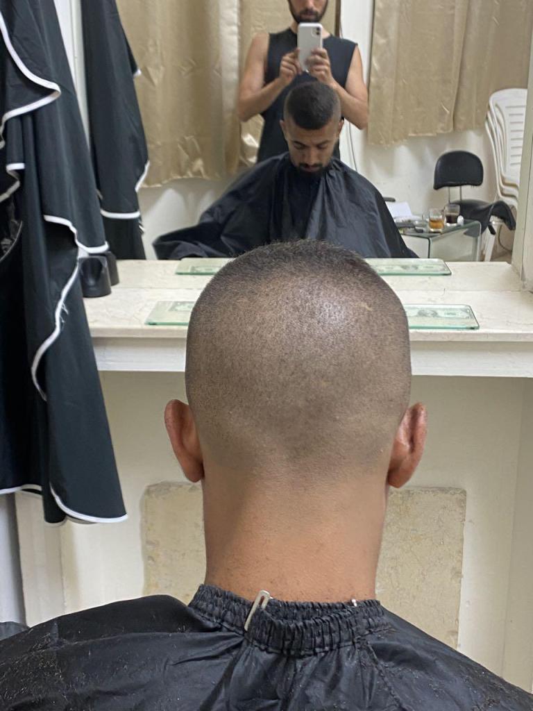 אלמוג חתוכה אלמוג חתוכה