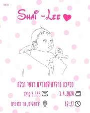 Shalev's Custom Art