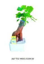Hrflowers