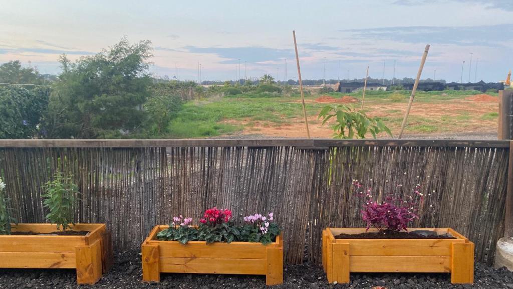 הנגריה בוטיק לעץ הנגריה בוטיק לעץ