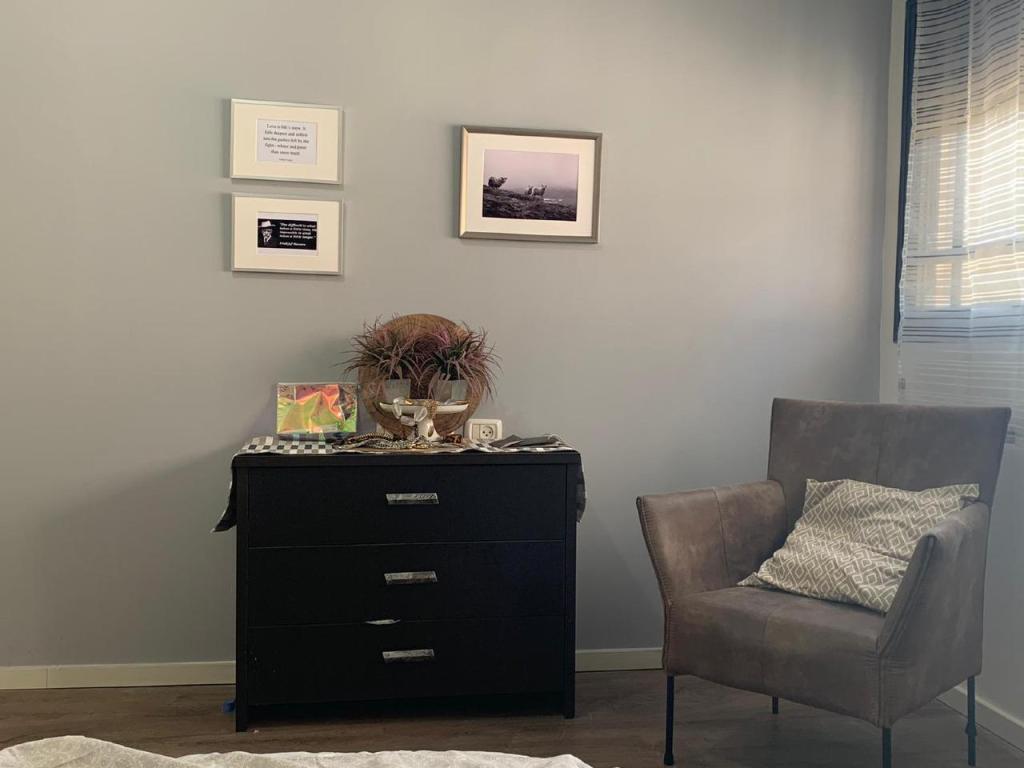 טפטים וולקס טפטים וולקס