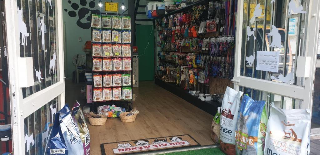 פמילי פט פמילי פט