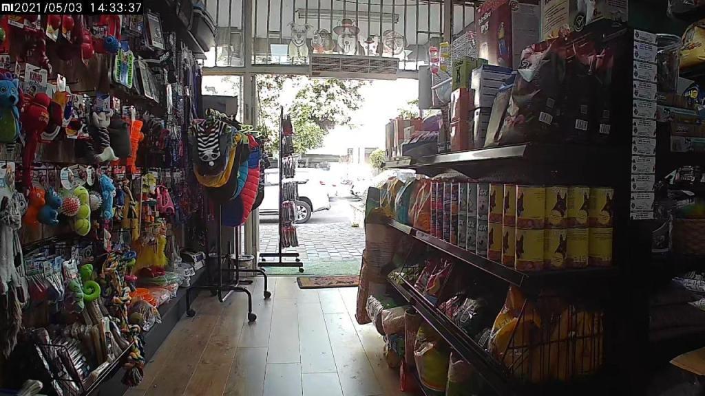 פמילי פט פמילי פט