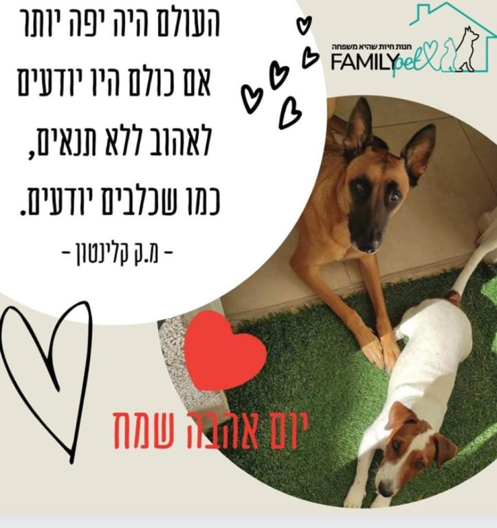 פמילי פט פמילי פט