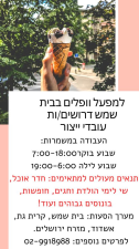 או קיי ייזום ומשאבי אנוש