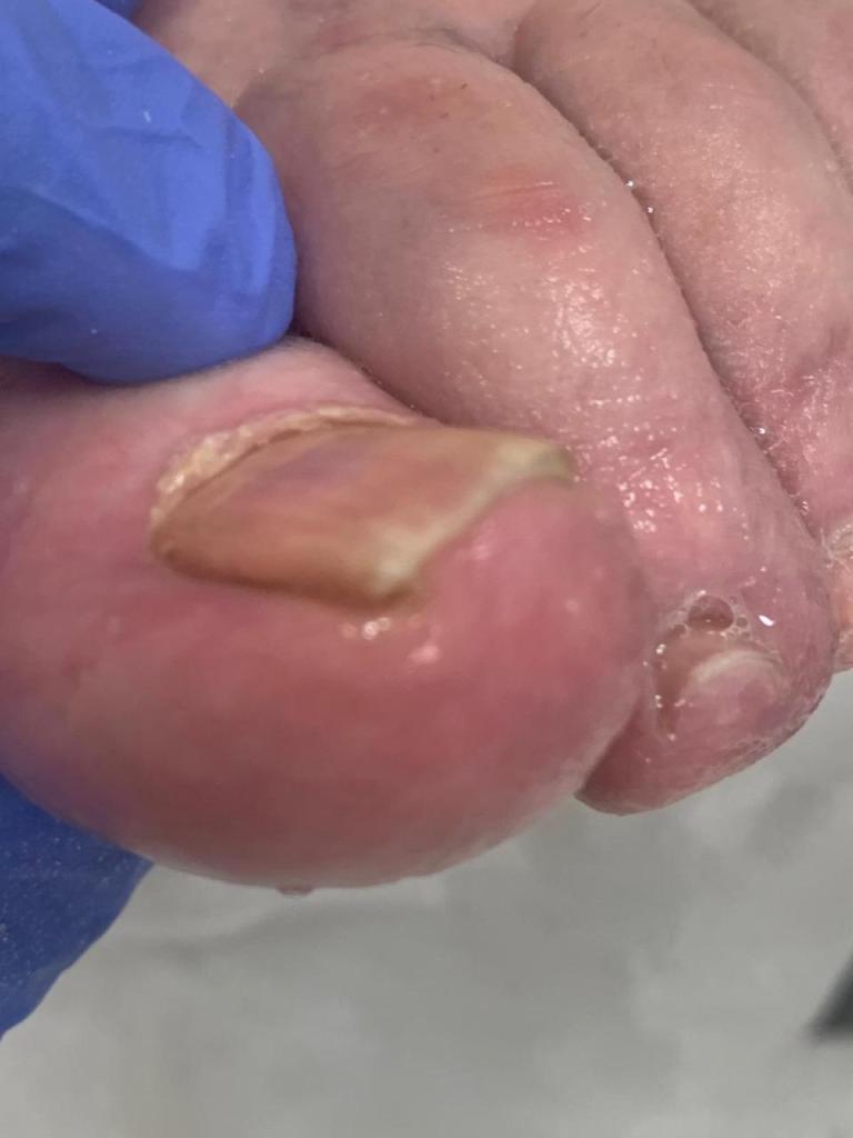 מורייל מורייל