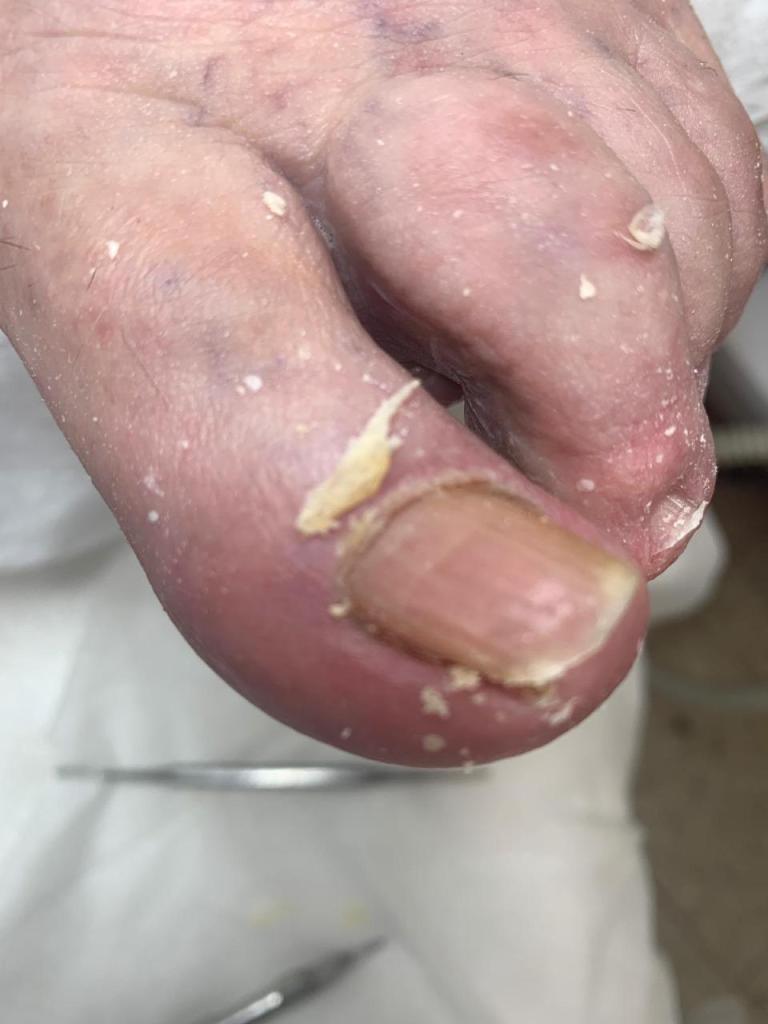 מורייל מורייל