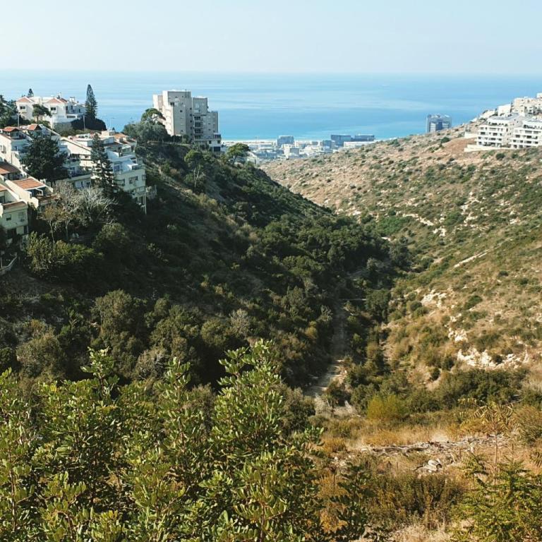 לקז'רי הום אחוזה לקז'רי הום אחוזה